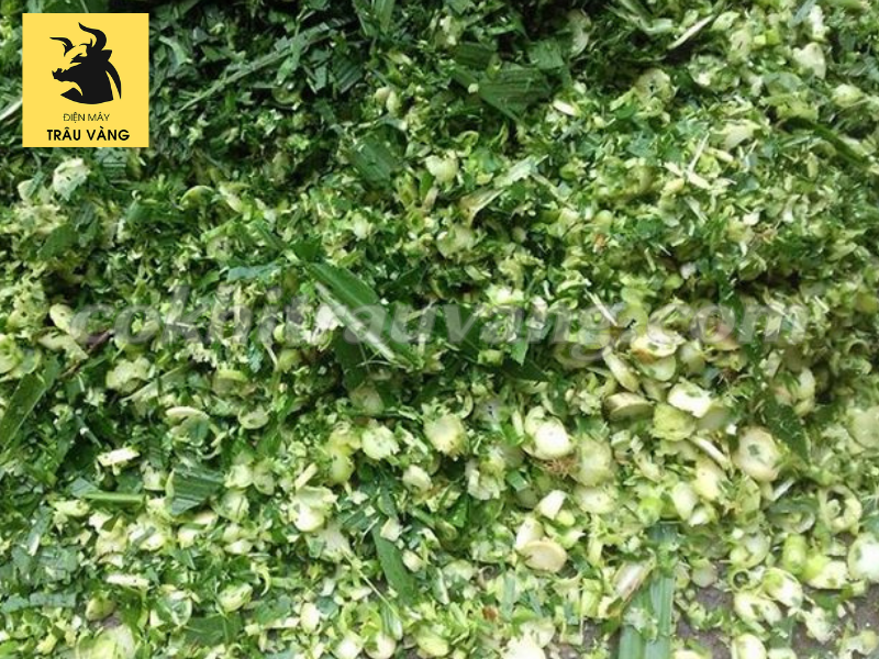 thiet-ke-khong-ten-1